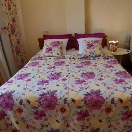 Bed and breakfast Apartamenty Czerwony Delfin Zabrze